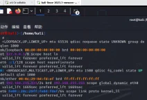 w1r3s.v1.0.1靶场思路演练